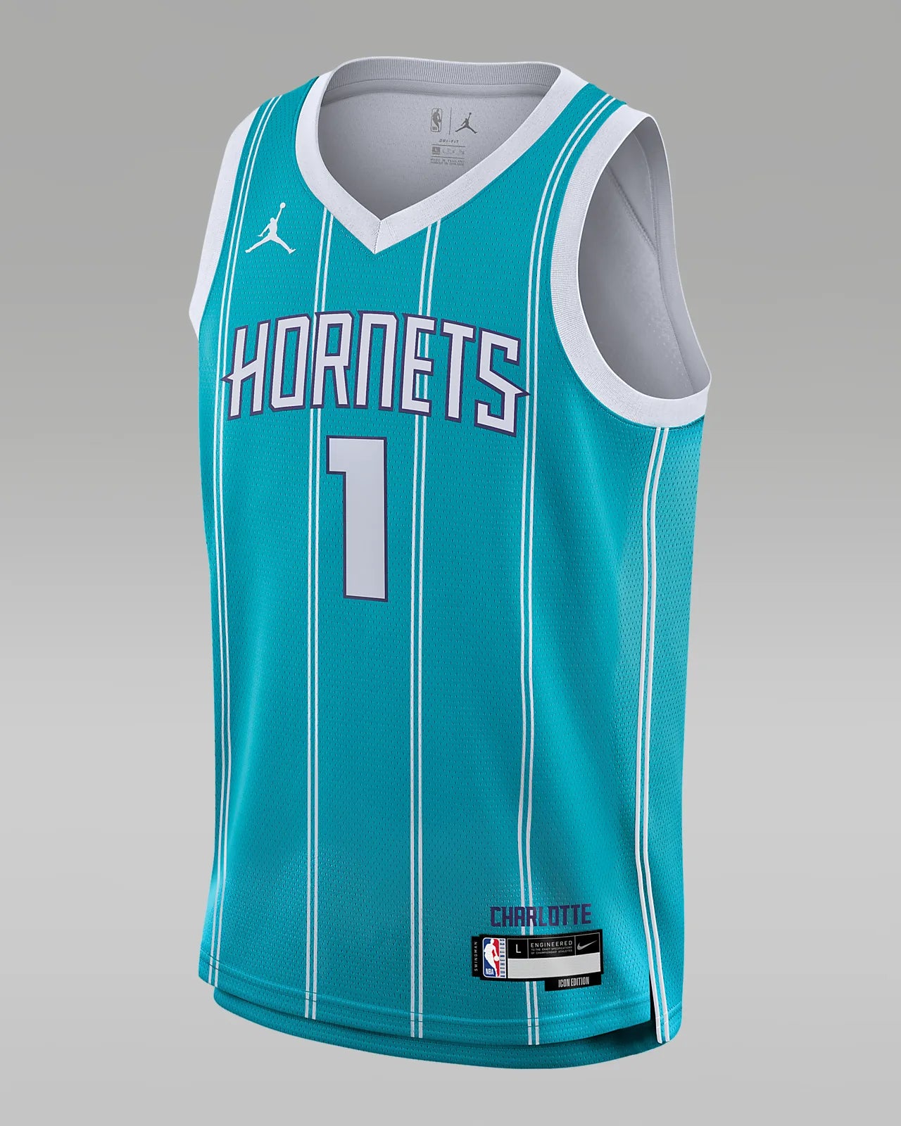 NBA jerseys with large team logos -CHARLOTTE HORNETS ICON JERSEY 23/24